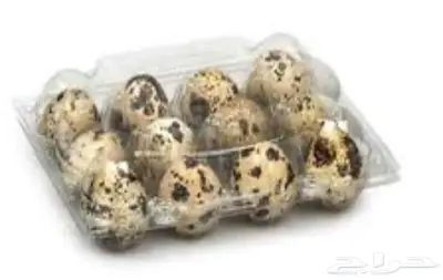 اطباق بيض سمان 0