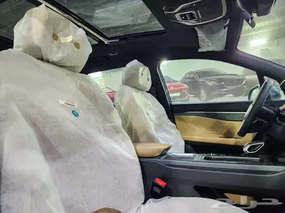 جيلي اوكافانجو 2024 فل كامل ونص فل. 31