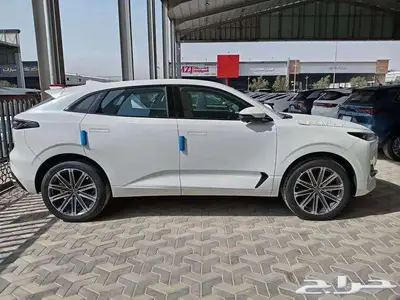 شانجان يوني كي 2026 1
