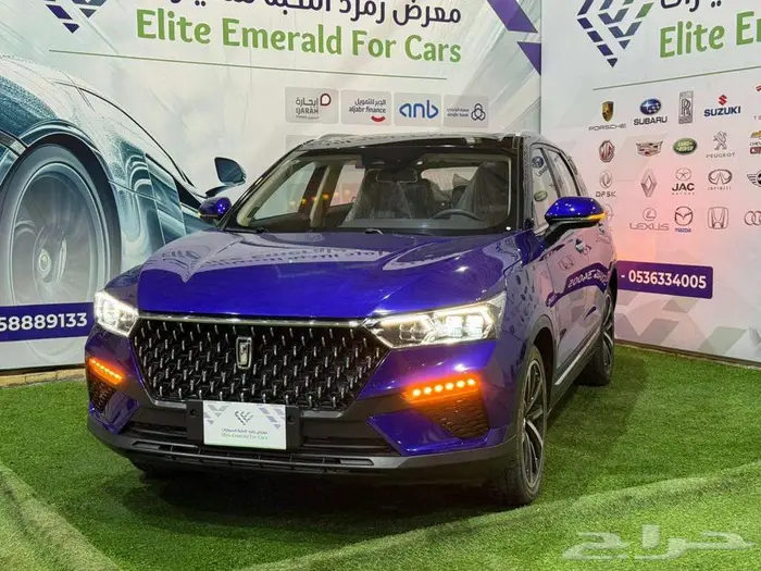 فاو تي 77 2023 1