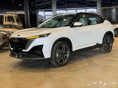 دونج فينج ميج 2025 1