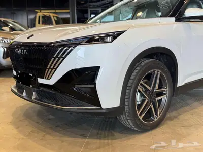 دونج فينج ميج 2025 4