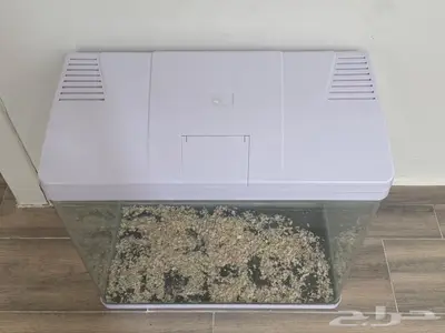 حوض اسماك 3