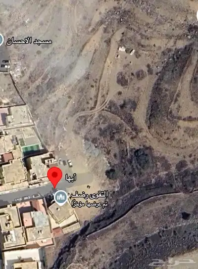 ببغاء ضايع يوجد مكافأه لمن يجده 2
