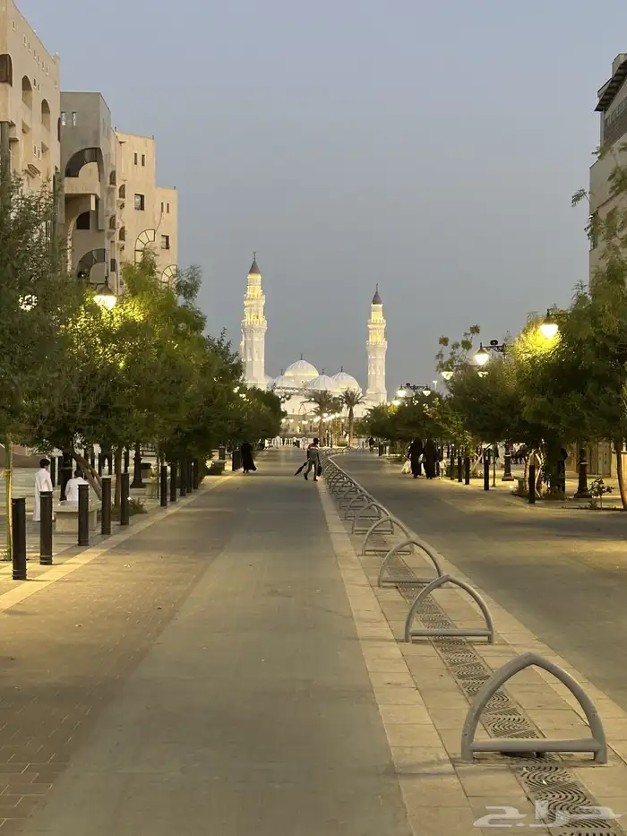 ارض للبيع 5