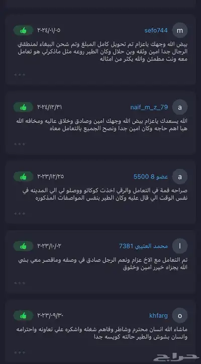 ببغاء كنيور اليف مع الاطفال هدد 13