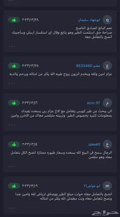 ببغاء كنيور اليف مع الاطفال هدد 15