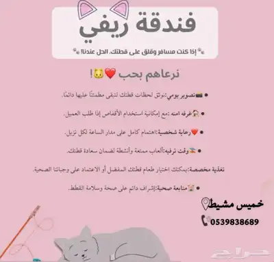 فندق قطط ترويش قطط 0