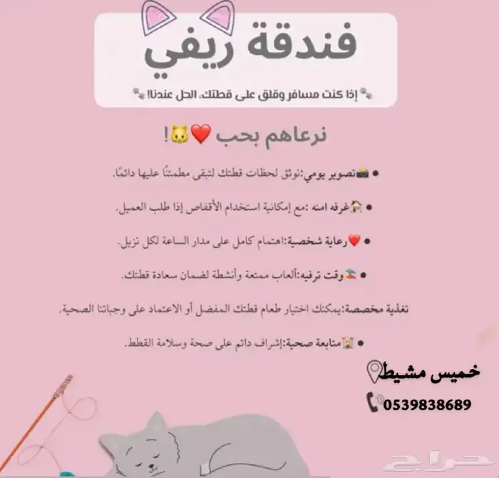 فندق قطط ترويش قطط 0