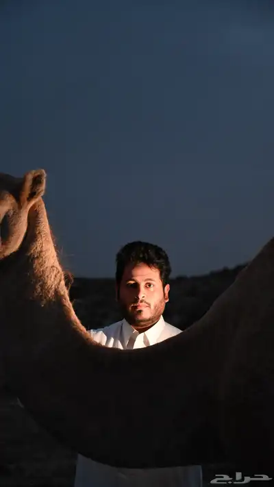 تصوير احترافي 0