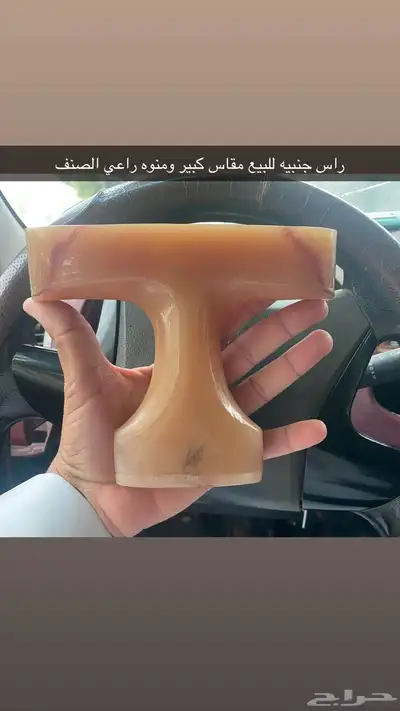 راس جنبيه حك الزراف للبيع 0