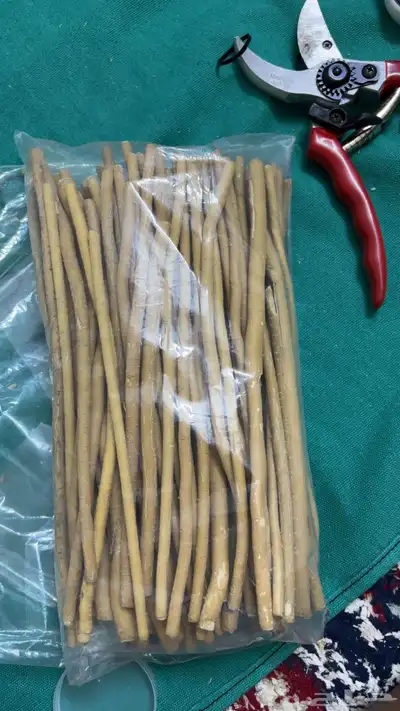 مساويك ابو حنش الاراك حار 1