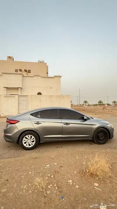 النترا 2017 7