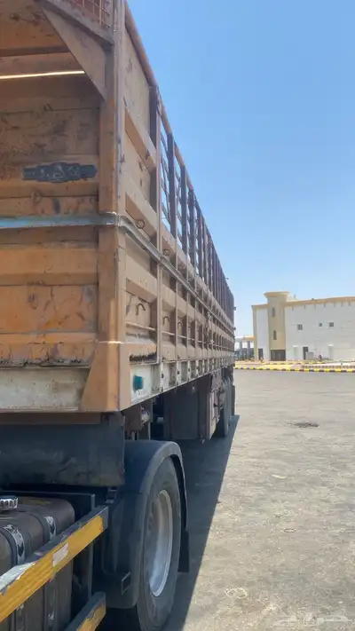 تيدر جوانب عاليه ضباء 0