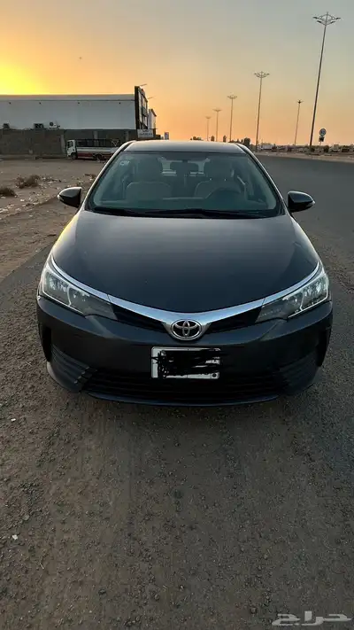 كورلا 2018 8