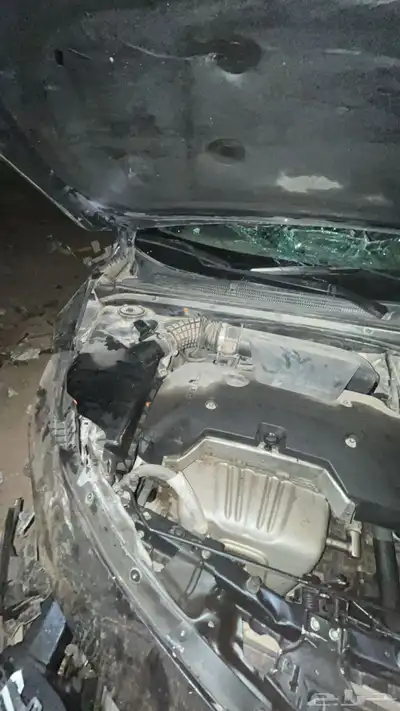 ماليبو 2018 12