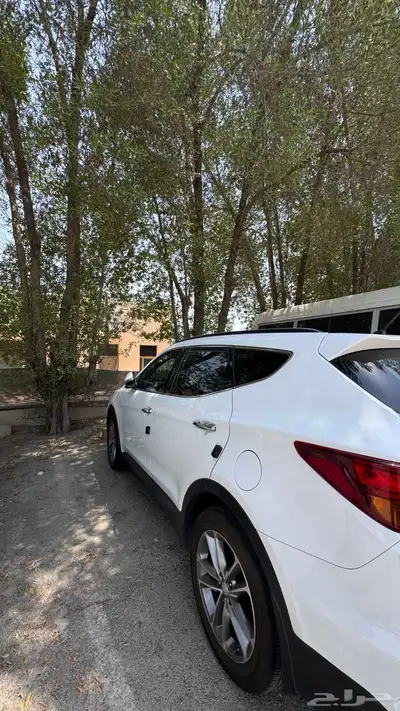 سنتافي نظيفة للبيع 1