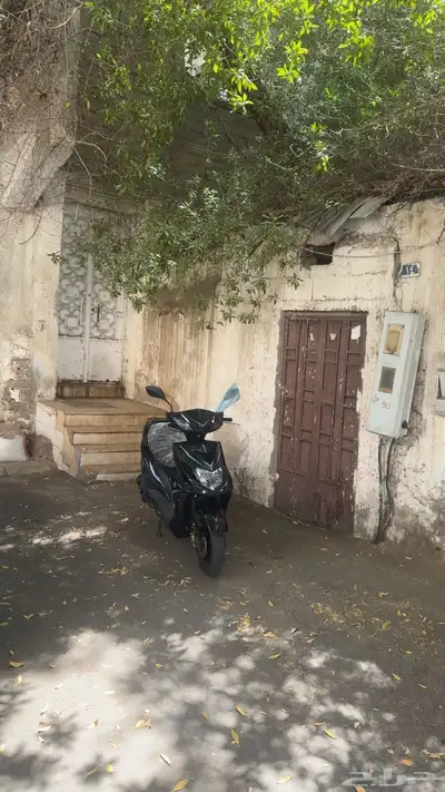 عجيب صيني 1