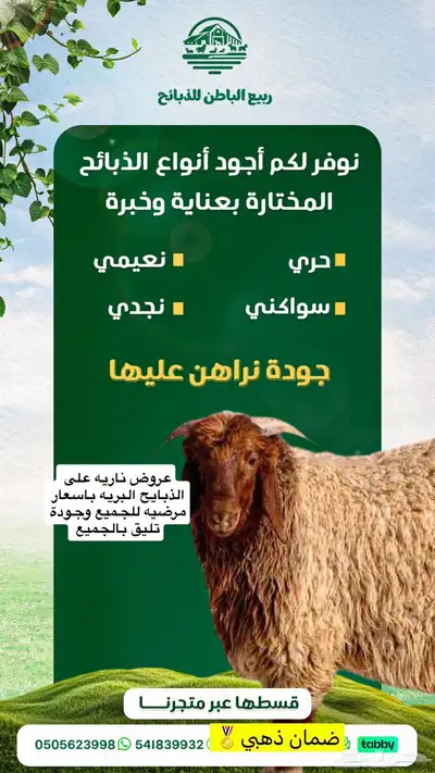 ذبايح عبر تابي 0