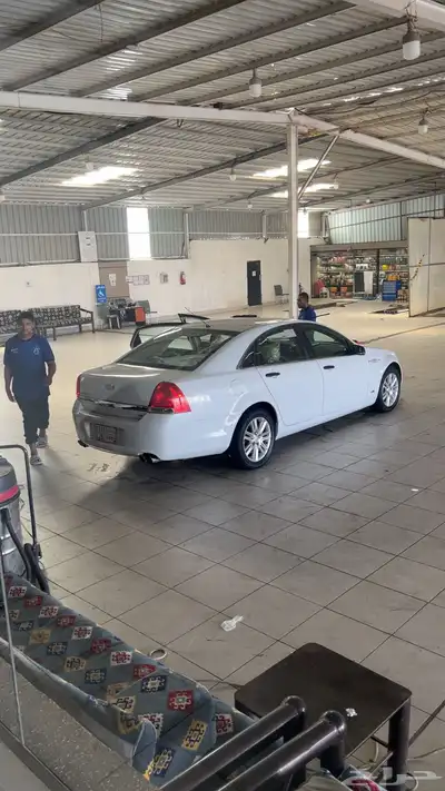 بيع عجل كابرس 2011 LS 3