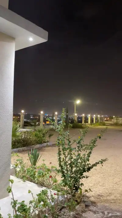 س يومي ايجار عتود 0