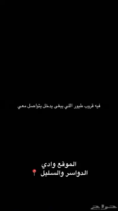 قروب طيور وادي الدواسر 0