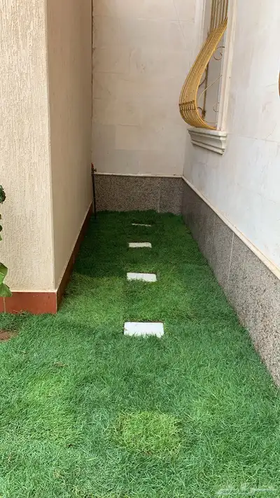 نجيله طبيعي مشروطه 12