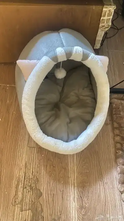 بيت بسة 0