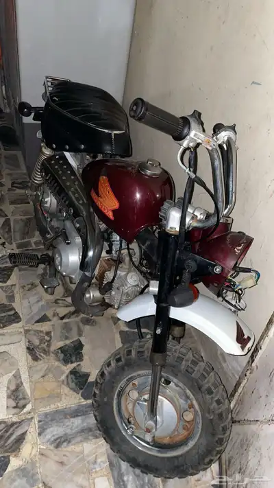 دباب سويدي للبيع 0