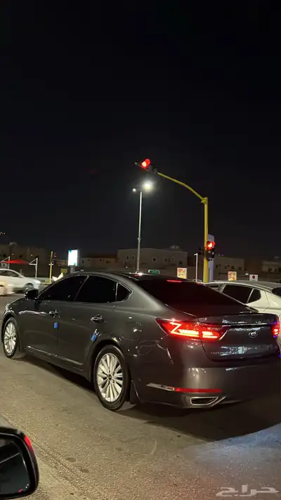 كادنزا 2018 0