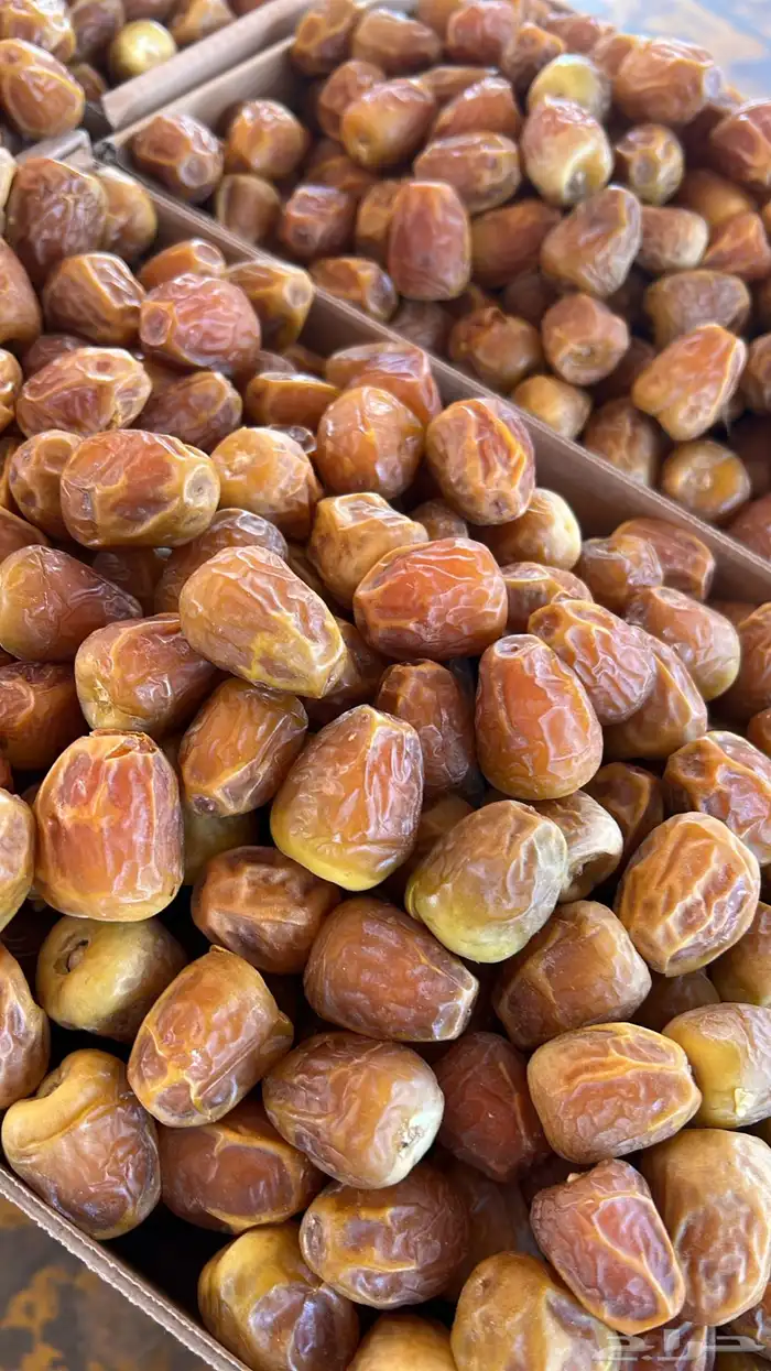 يوجد لدينا جميع انواع التمور 1