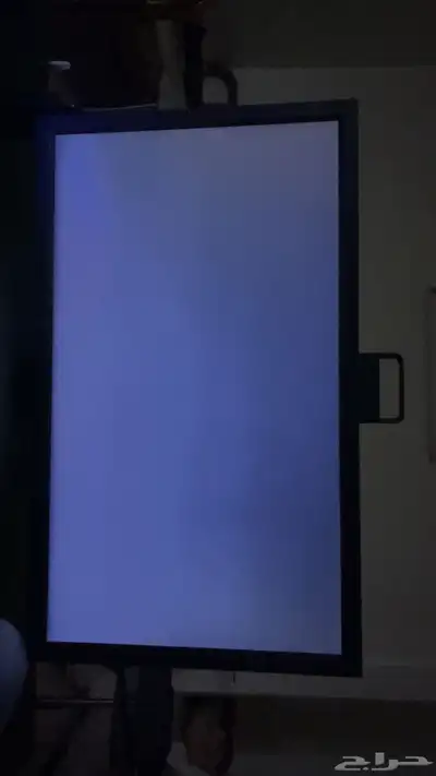 بيسي و شاشه 5