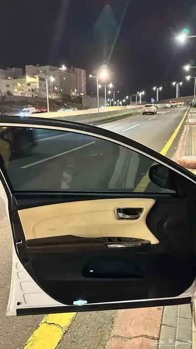 افالون 2016 13