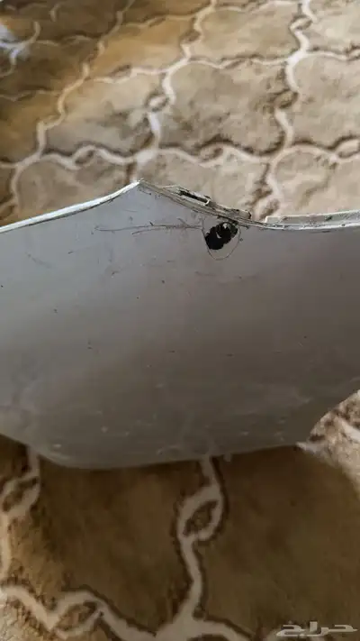صدامات كامري 3