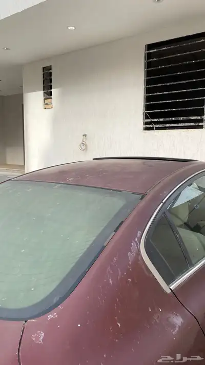 التيما سته سلندر 2010 13