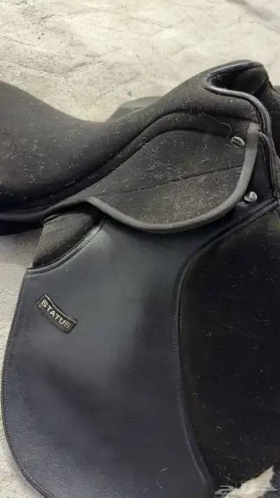 سرج ستيتوس للبيع 1