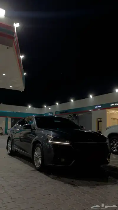 كادنزا 2018 1