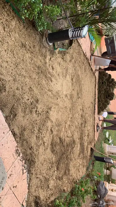 نجيله طبيعي مشروطه 6
