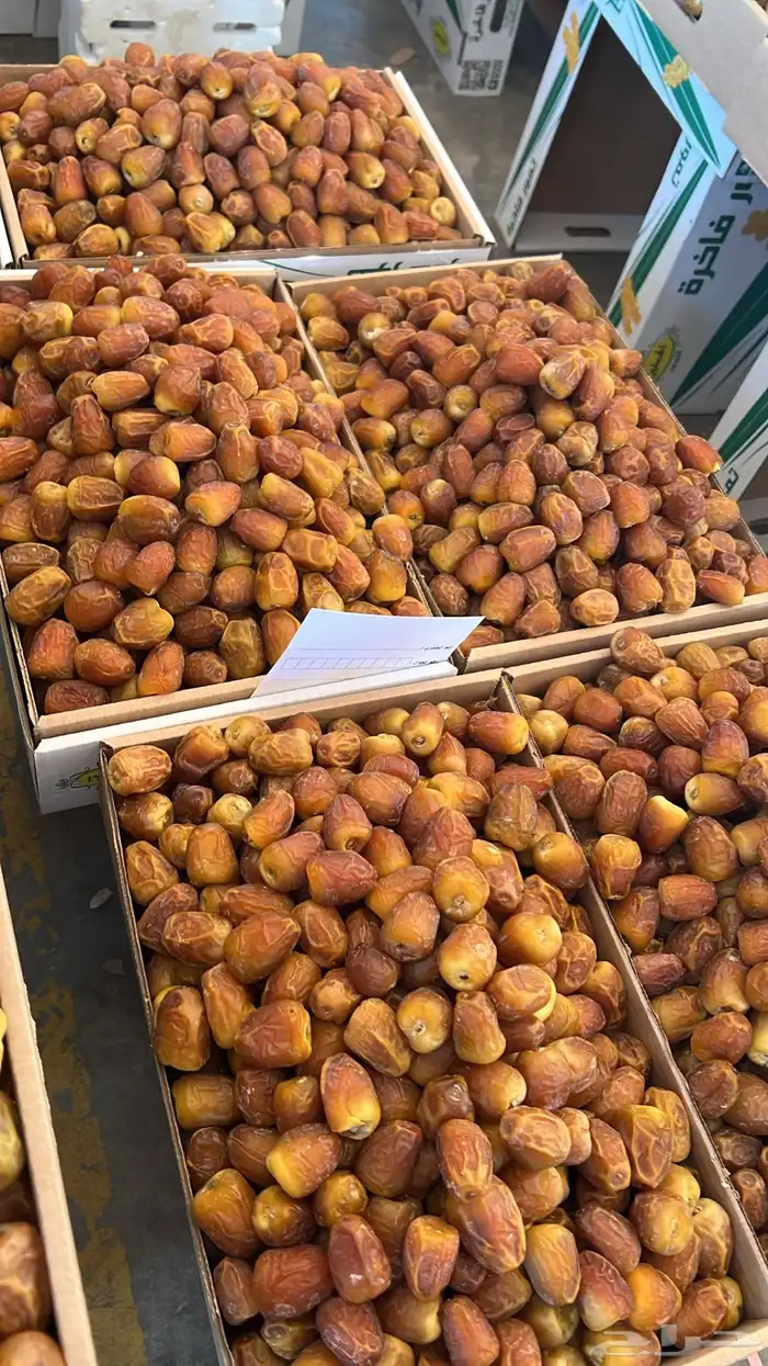 يوجد لدينا جميع انواع التمور 0