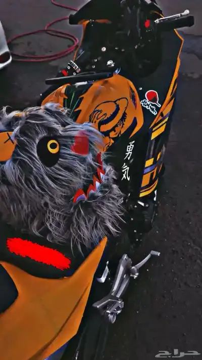 ريس 400 cc 0