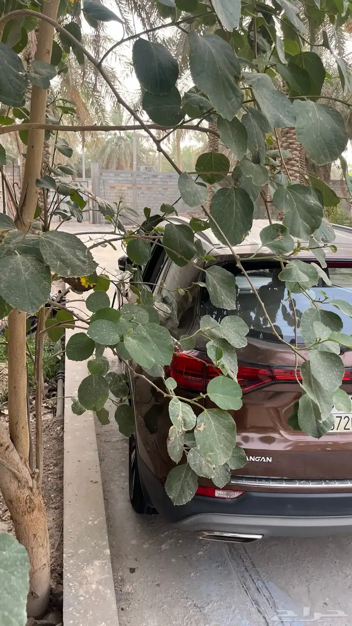 شانجان cs75 2020 7