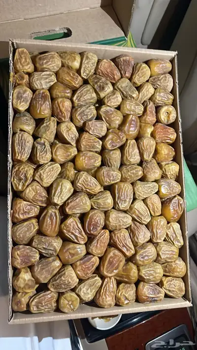 سكري مفتل 0