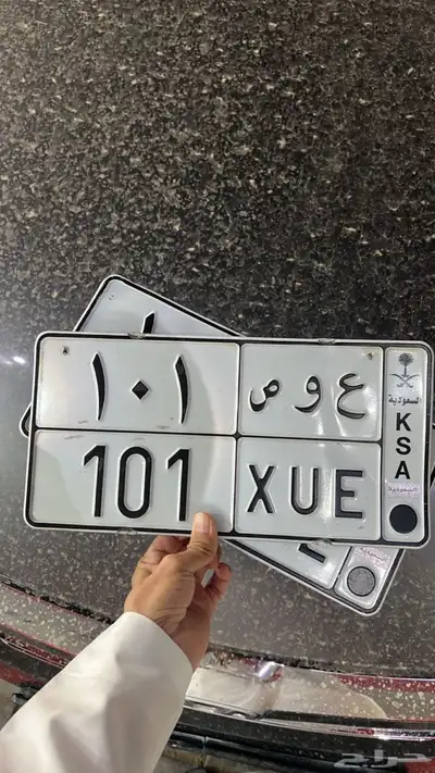 لوحه خصوصي للبيع ( ع و ص 101) 0
