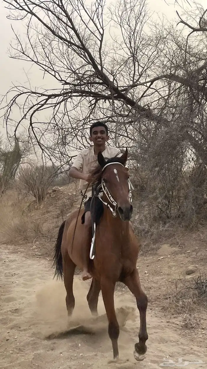مهر شعبي 10