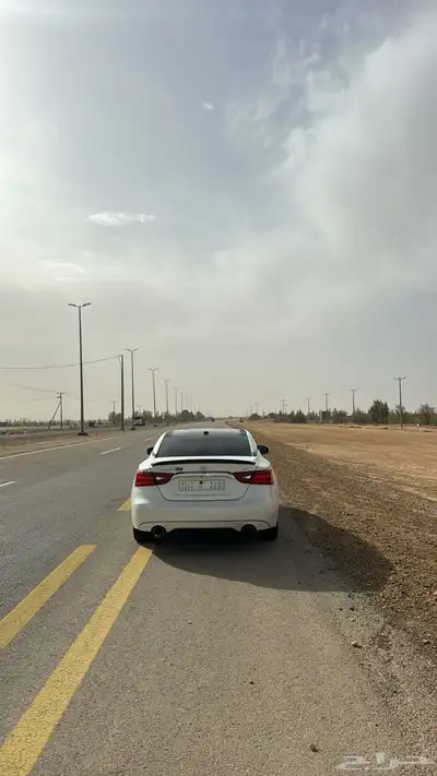 مكسيما 2017 4