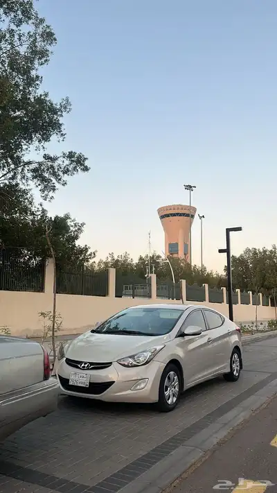 النترا 2013 8