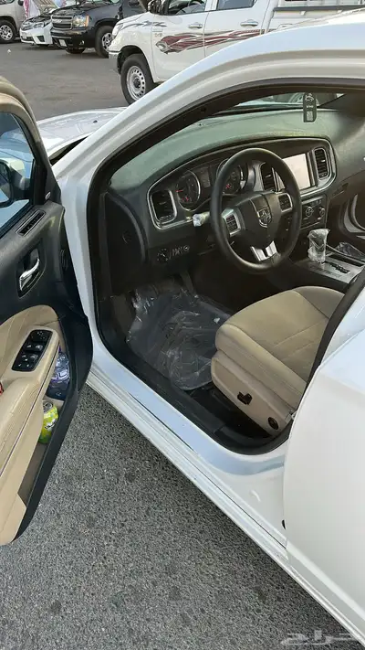 دوج نظيف 1