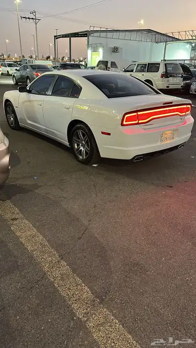 دوج نظيف 7