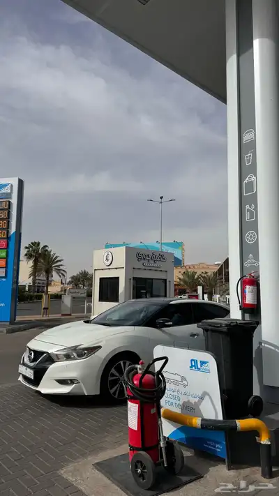 مكسيما 2017 5