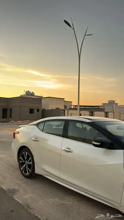 مكسيما 2017 2